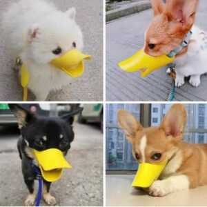 ARTIGO PARA PET EM SILICONE SENDO: FOCINHEIRA MODELO BICO DE PATO. TAMANHO GRANDE