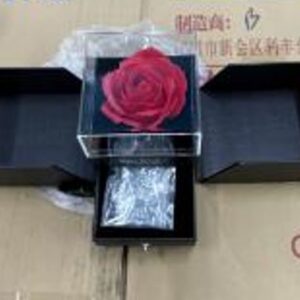 COLAR FEMININO COM PINGENTE, FABRICADO EM METAL, ACOMPANHA ESTOJO DECORATIVO COM FLOR EM TECIDO