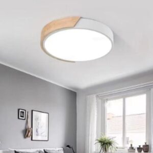 LUMINARIA ELETRICA DE TETO PARA ILUMINACAO DE AMBIENTES INTERNOS, OPERANDO EM TENSAO DE 110V E FREQUENCIA DE 50/60HZ, COM POTENCIA DE 12W, CONSTRUIDA COM ESTRUTURA EM FERRO, MADEIRA E DIFUSOR EM PLASTICO, COMPOSTA POR CIRCUITO DRIVER E CHIP EMISSOR DE LUZ (LED), COM DIMENSAO APROXIMADA DE 23 CM DE DIAMETRO, ACONDICIONADA EM EMBALAGEM CONTENDO PLACA DIFUSORA E PARAFUSOS PARA INSTALACAO.